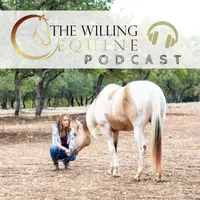 The Willing Equine artwork