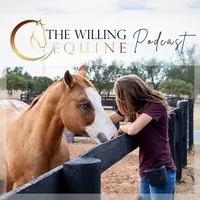 The Willing Equine artwork
