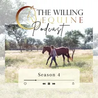 The Willing Equine artwork