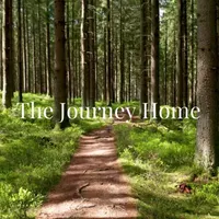 The Journey Home artwork