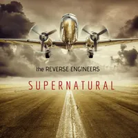 The Reverse Engineers Show artwork