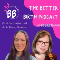 The Better Birth podcast with Erin Fung artwork