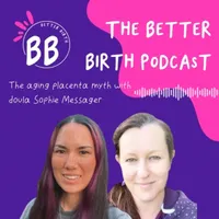The Better Birth podcast with Erin Fung artwork