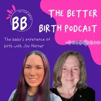 The Better Birth podcast with Erin Fung artwork
