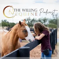 The Willing Equine artwork
