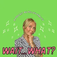 Wait...What? artwork