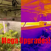 Comrades In Farms - A Regenerative Agriculture Podcast artwork