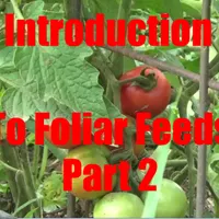 Comrades In Farms - A Regenerative Agriculture Podcast artwork