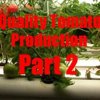 Comrades In Farms - A Regenerative Agriculture Podcast artwork