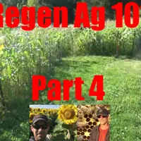 Comrades In Farms - A Regenerative Agriculture Podcast artwork