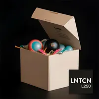 Lunaticoin artwork