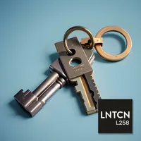 Lunaticoin artwork