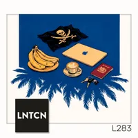 Lunaticoin artwork
