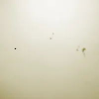 Astronomía Autodidacta artwork