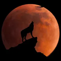 Astronomía Autodidacta artwork