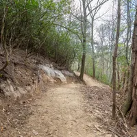 Singletracks Mountain Bike Podcast artwork