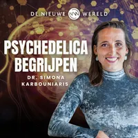 De Nieuwe Wereld artwork