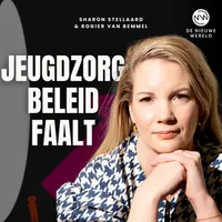 De Nieuwe Wereld artwork