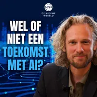 De Nieuwe Wereld artwork