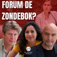 De Nieuwe Wereld artwork
