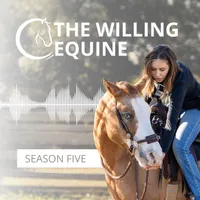The Willing Equine artwork