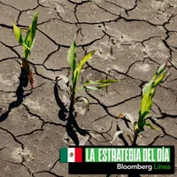 La Estrategia del Día México artwork