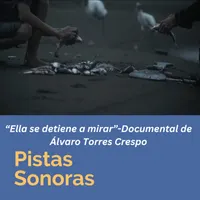 Pistas Sonoras artwork