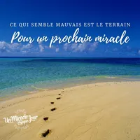 Un Miracle Chaque Jour artwork