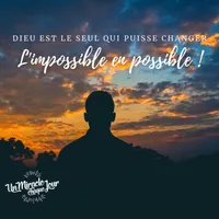 Un Miracle Chaque Jour artwork