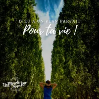 Un Miracle Chaque Jour artwork