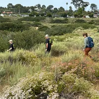 Golden State Naturalist artwork
