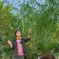 Golden State Naturalist artwork