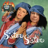 Sister Wives: Love Should Be Multiplied Not Divided artwork