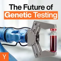 Y Combinator Startup Podcast artwork