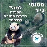 מטוסי נייר Paper Planes artwork