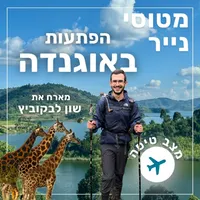 מטוסי נייר Paper Planes artwork