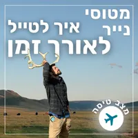 מטוסי נייר Paper Planes artwork