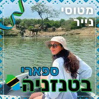 מטוסי נייר Paper Planes artwork