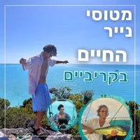 מטוסי נייר Paper Planes artwork