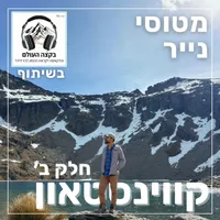 מטוסי נייר Paper Planes artwork