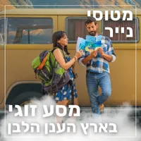 מטוסי נייר Paper Planes artwork