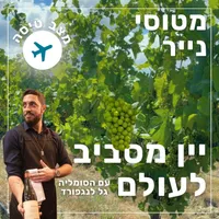 מטוסי נייר Paper Planes artwork