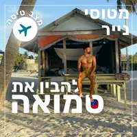 מטוסי נייר Paper Planes artwork