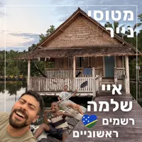 מטוסי נייר Paper Planes artwork