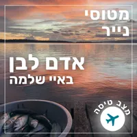 מטוסי נייר Paper Planes artwork