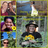 Journey of Joy artwork