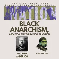 The Fire These Times artwork