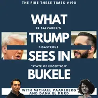 The Fire These Times artwork