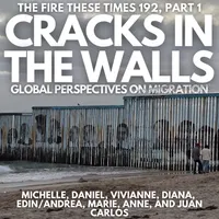 The Fire These Times artwork