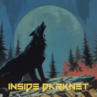 Inside Darknet artwork